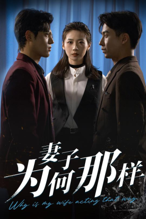 妻子为何那样(60集) 妻子为何那样(60集)在线看完整版