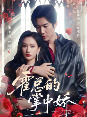 霍总的掌中娇（80集）看精彩短剧