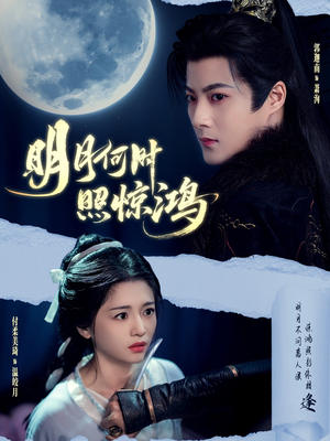 明月何时照惊鸿（80集）精彩短剧又来了