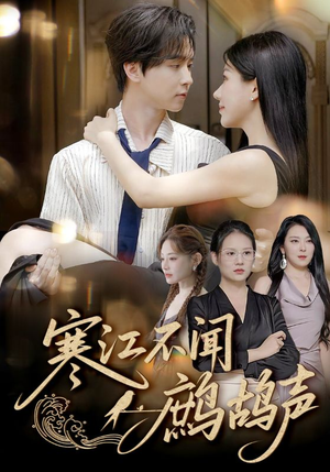 寒江不闻鹧鸪声（55集）在哪看免费