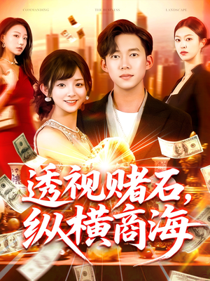 透视赌石，纵横商海（80集）男主角是谁