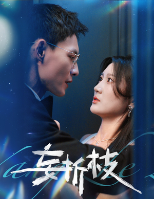 妄折枝（53集）熬夜追短剧