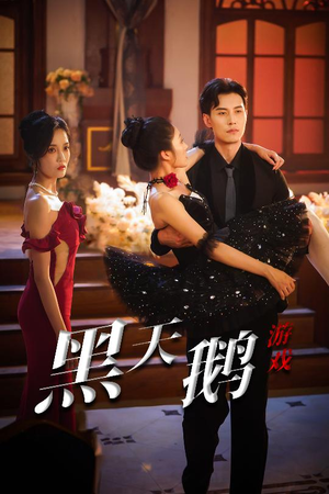 黑天鹅游戏（60集）更新时间一览表