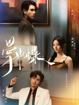 掌中蝶(84集) 掌中蝶(84集)热播短剧分享