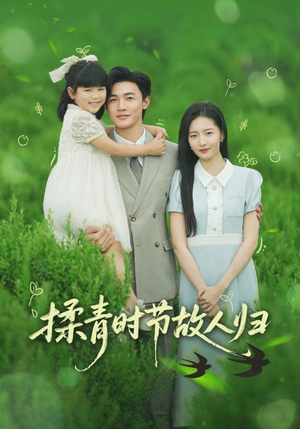 揉青时节故人归(60集) 揉青时节故人归(60集)热播短剧分享