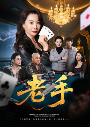 老手（36集）短剧追到爽