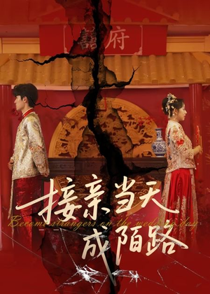 接亲当天成陌路(50集) 接亲当天成陌路(50集)短剧免费看