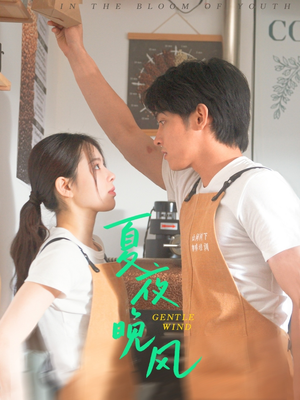 夏夜晚风(12集) 夏夜晚风(12集)短剧全集抢先看