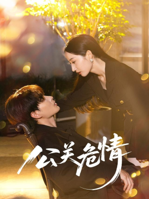 公关危情（60集）爆款短剧一起追