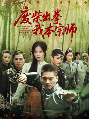 废柴出拳我本宗师(61集) 废柴出拳我本宗师(61集)热播短剧追不停