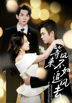 等风来不如追风去(72集) 等风来不如追风去(72集)悬疑短剧推荐