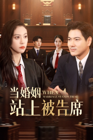 当婚姻站上被告席(30集) 当婚姻站上被告席(30集)在线免费观看