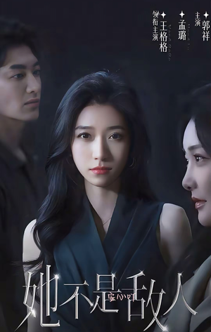 她不是敌人(15集全) 她不是敌人(15集全)男频短剧推荐