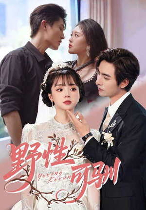 野性可驯（63集）免费短剧大全