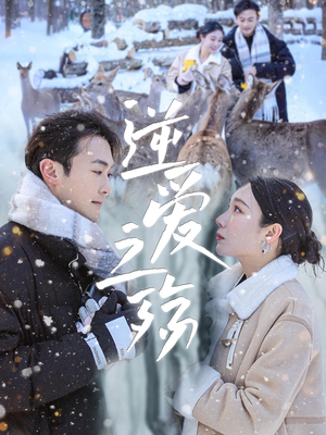 逆爱之殇（60集）热门短剧又来了