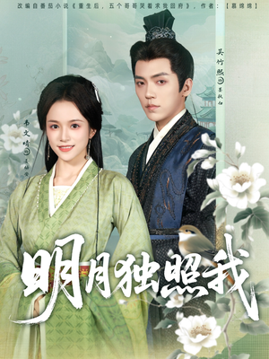 明月独照我（80集）免费看全网短剧