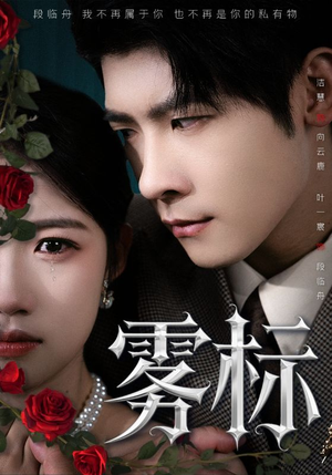 雾标(70集) 雾标(70集)完整版