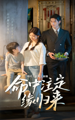 命中注定缘归来(63集) 命中注定缘归来(63集)不用花钱看全剧