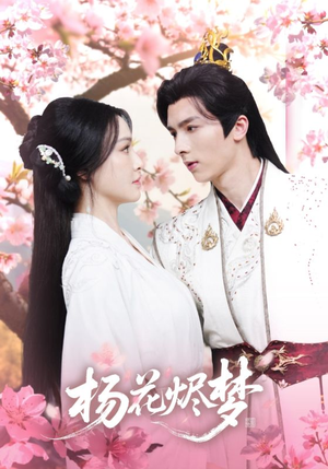 扬花烬梦（68集）1-102集