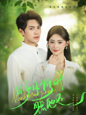 明月何时照他还（73集）西瓜短剧免费看