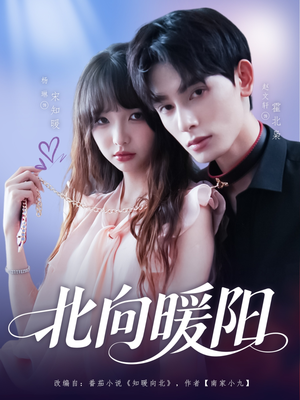 北向暖阳(80集) 北向暖阳(80集)免费短剧就是爽
