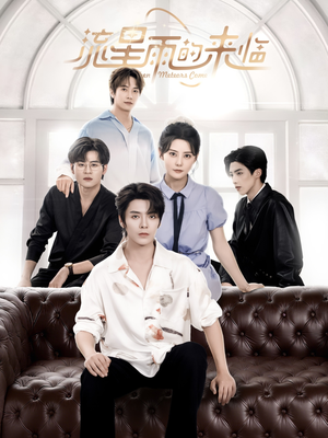 流星雨的来临(40集) 流星雨的来临(40集)在线播放