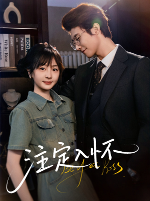 注定入怀（70集）追风的女孩短剧