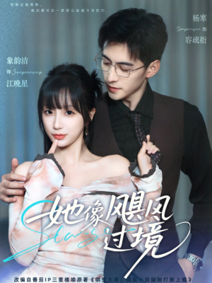 她像飓风过境(81集) 她像飓风过境(81集)好看短剧又来了
