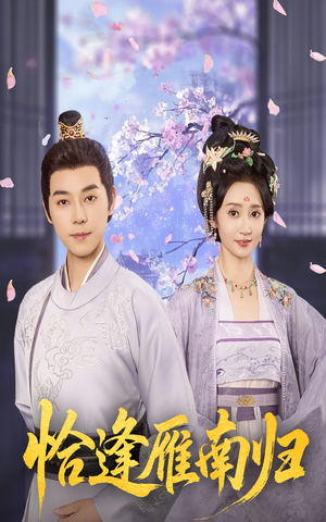 恰逢雁南归（51集）精彩短剧看不停