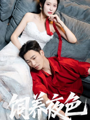 饲养夜色(86集) 饲养夜色(86集)热播短剧抢先看