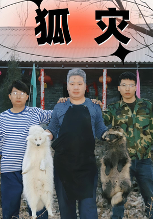 狐灾(25集) 狐灾(25集)精彩短剧分享