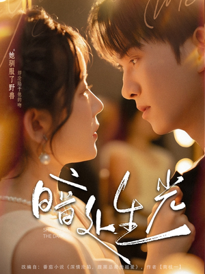 暗处生光(82集) 暗处生光(82集)分享好看的短剧