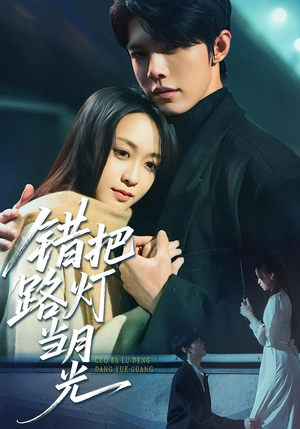 错把路灯当月光(40集) 错把路灯当月光(40集)1-102集