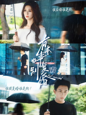 有本事别复婚（79集）在线观看全集