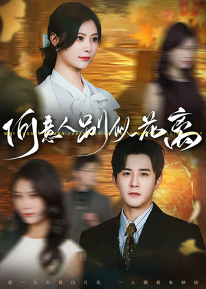 何意人别似花离(61集) 何意人别似花离(61集)大结局完美收官