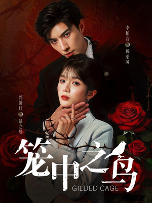 笼中之鸟(70集) 笼中之鸟(70集)在线观看完整版