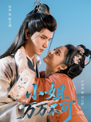 小姐万万不可（74集）超好看短剧推荐