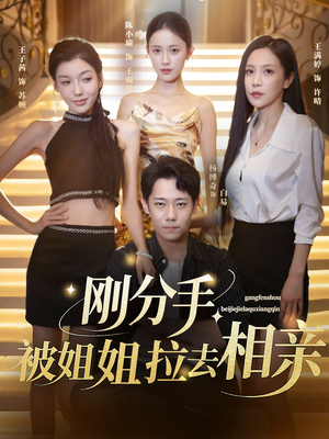 刚分手被姐姐拉去相亲(73集) 刚分手被姐姐拉去相亲(73集)番茄短剧免费看