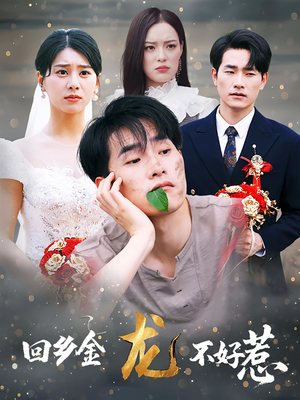 回乡金龙不好惹（74集）全集下载