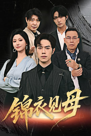 锦衣见母(60集) 锦衣见母(60集)一共多少集