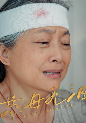 慈母无泪(30集) 慈母无泪(30集)精彩的网络短剧