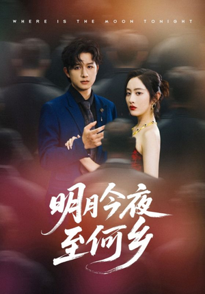 明月今夜至何乡(70集) 明月今夜至何乡(70集)免费短剧看不停