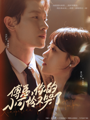 傅总你的小可怜又哭了(80集) 傅总你的小可怜又哭了(80集)短剧后续更精彩