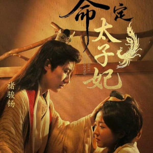 命定太子妃（63集）独家资源免费看
