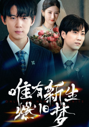 唯有新生燃旧梦（55集）热播短剧重燃