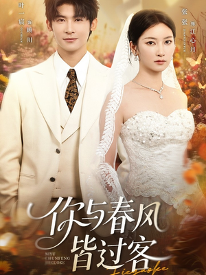 你与春风皆过客（66集）我全都看完了