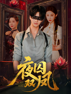 夜囚双凤（46集）全集