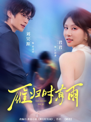 雁归时有雨(84集) 雁归时有雨(84集)精彩短剧推荐