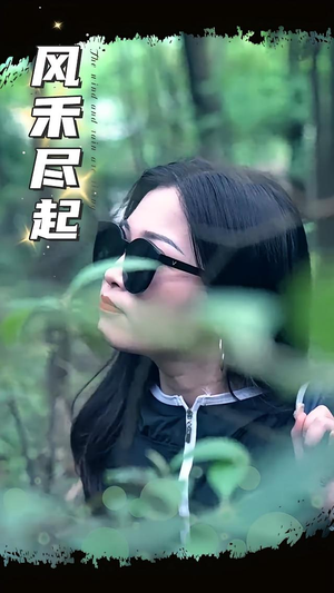 风禾尽起（31集）全集完整版