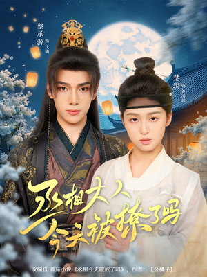 丞相大人今天被撩了吗（80集）网盘在线观看